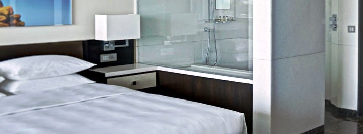 823/Park Hyatt - Hyderabad 16.jpg